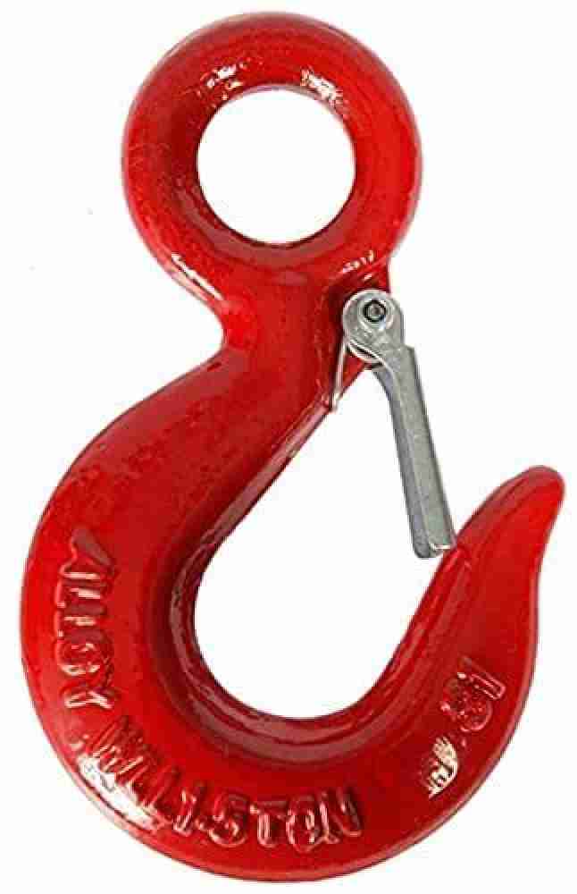 B K Jagan and Co Eye Hook with Latch Stainless Steel Heavy Duty 3 TON  Swivel Hook 1 Price in India - Buy B K Jagan and Co Eye Hook with Latch