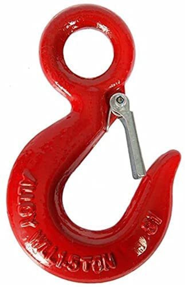 B K Jagan and Co Eye Hook with Latch Stainless Steel Heavy Duty 3