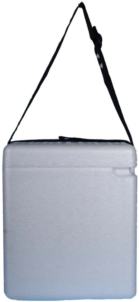 FAIRBIZPS Vaccine Carrier Box with 4 Ice Pack Large (1.67 Ltr.)