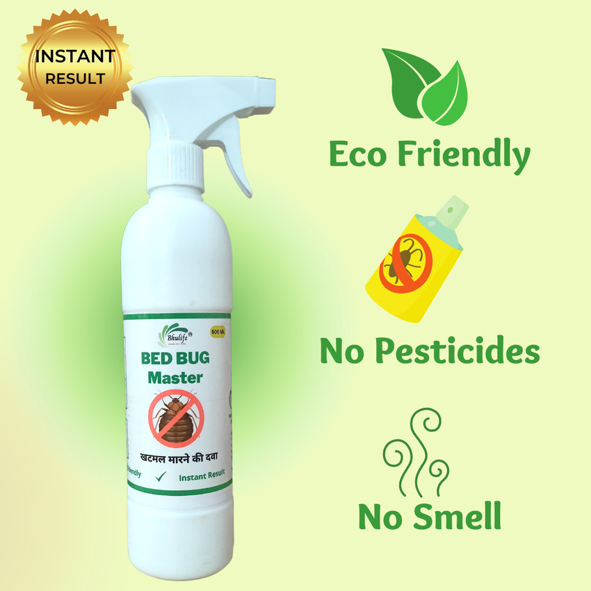Bug spray and cats 2025