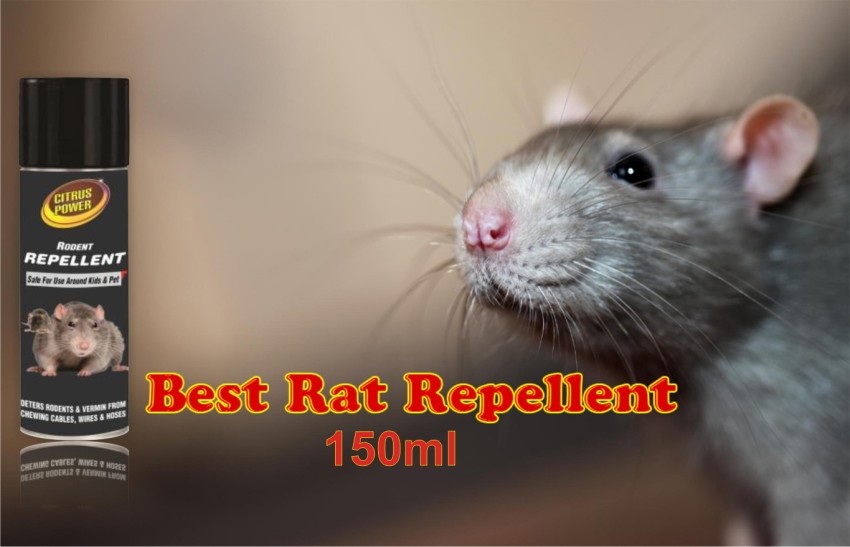 Best rodent deals repellent for cars