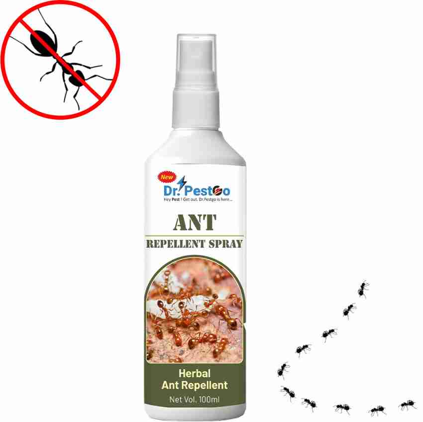 Dr.PestGo ant killer ant killer spray for home ant killer powder ant kill ant killer chalk Buy Baby Care Products in India Flipkart