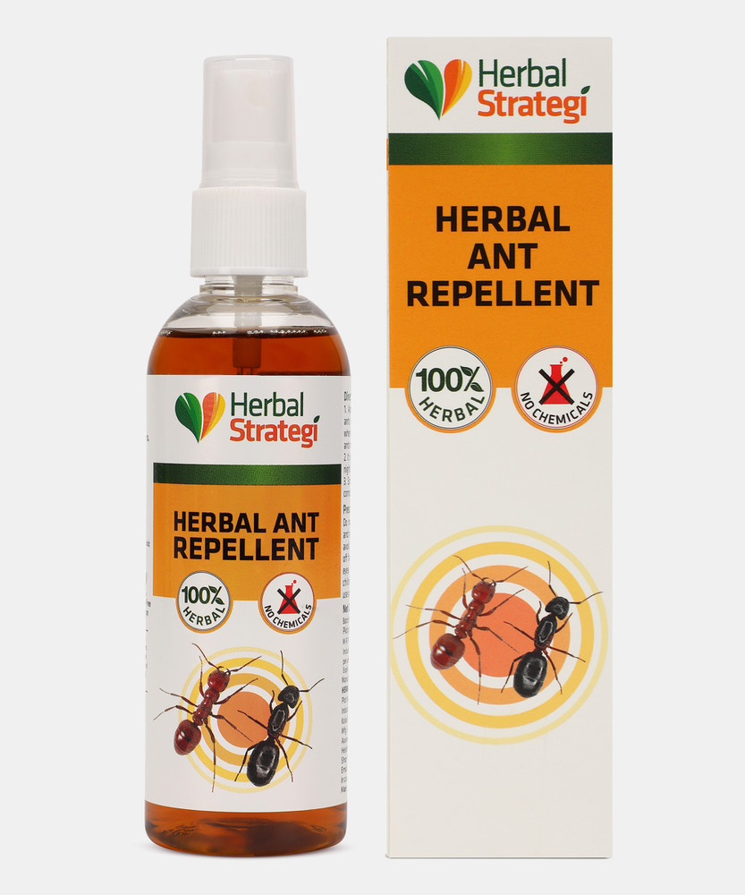 HERBAL STRATEGI Ant Repellent Spray Non Toxic 100 Herbal Stain Free Buy Baby Care Products in India Flipkart