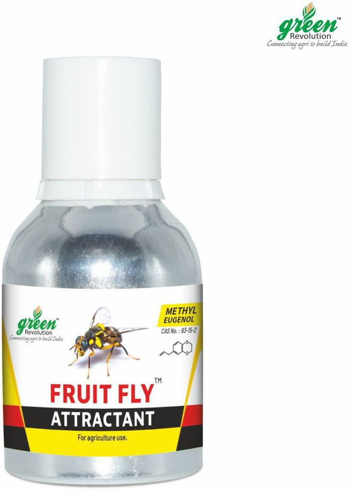 Fly attractant online