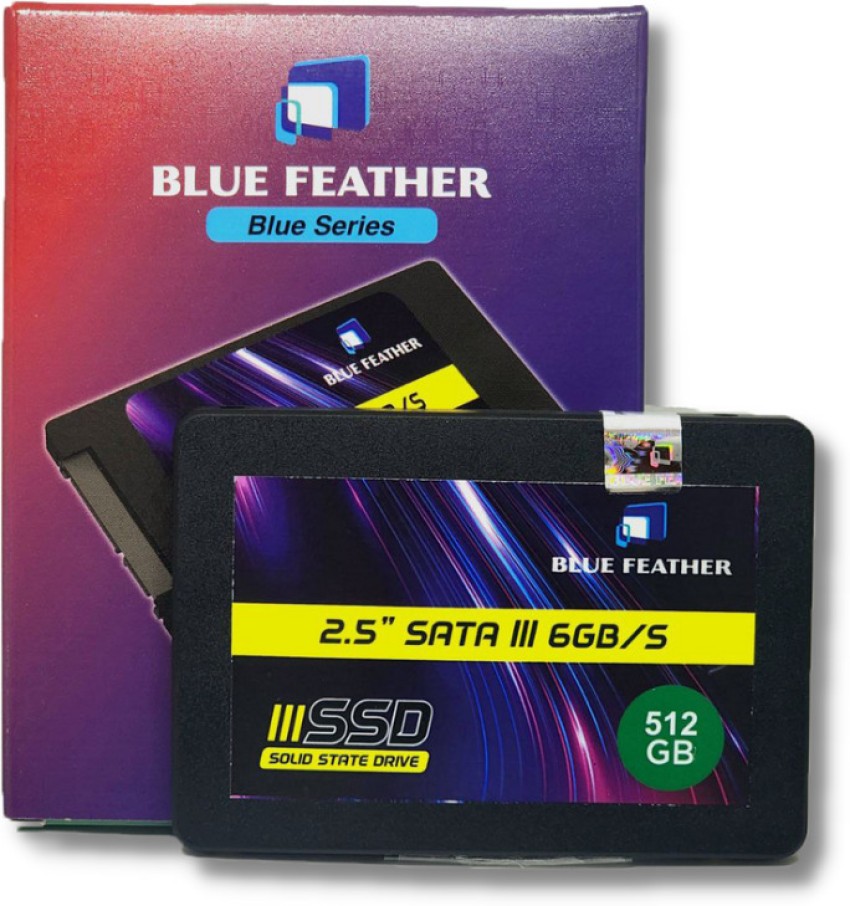 Blue Feather 512 GB SSD 2.5 inch SATA III & SATA II Internal SSD for  Desktop, La