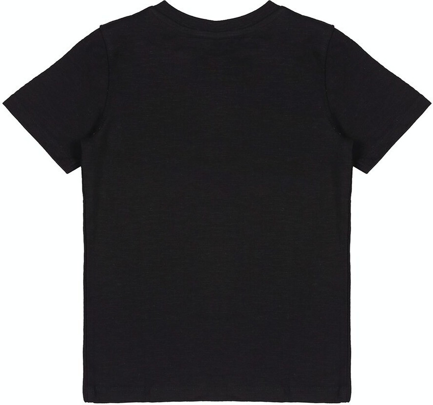 firstcry baby boy t shirt