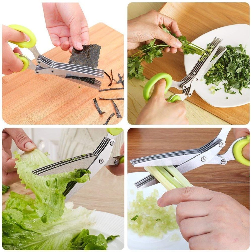 Herb Scissors Leaf Herb Stripper, Stainless Steel 5 Blades And