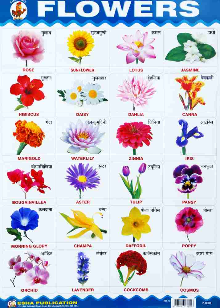 Flowers Name In Hindi And English Chart | Best Flower Site