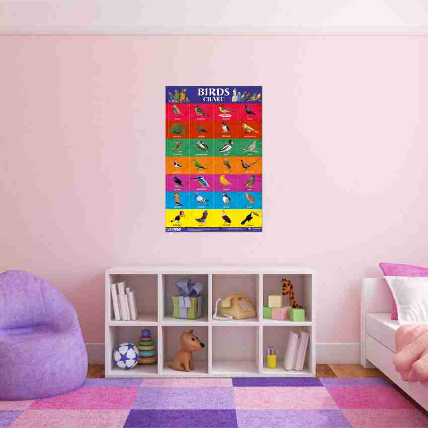 Buy ESCAPER Colour Name Chart for Kids learning (11.5 x 17.5