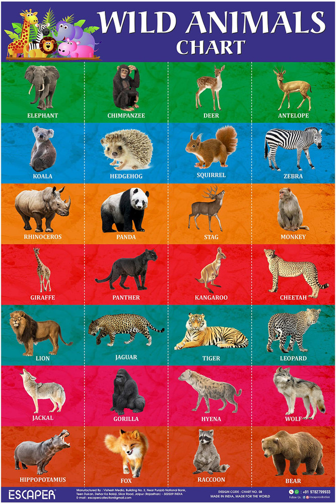 wild-animals-pictures-chart