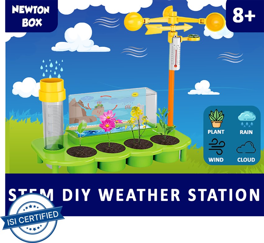 Little Olive Newton Box Weather Station
