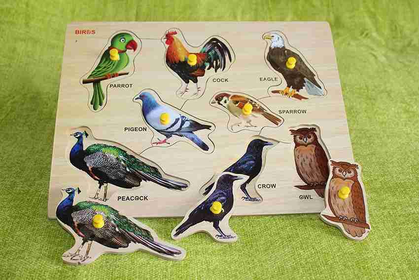 Best buy parrot shop
