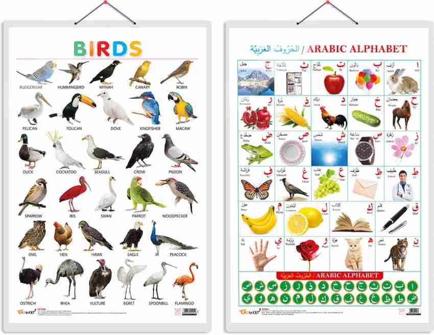 arabic alphabet chart for kids