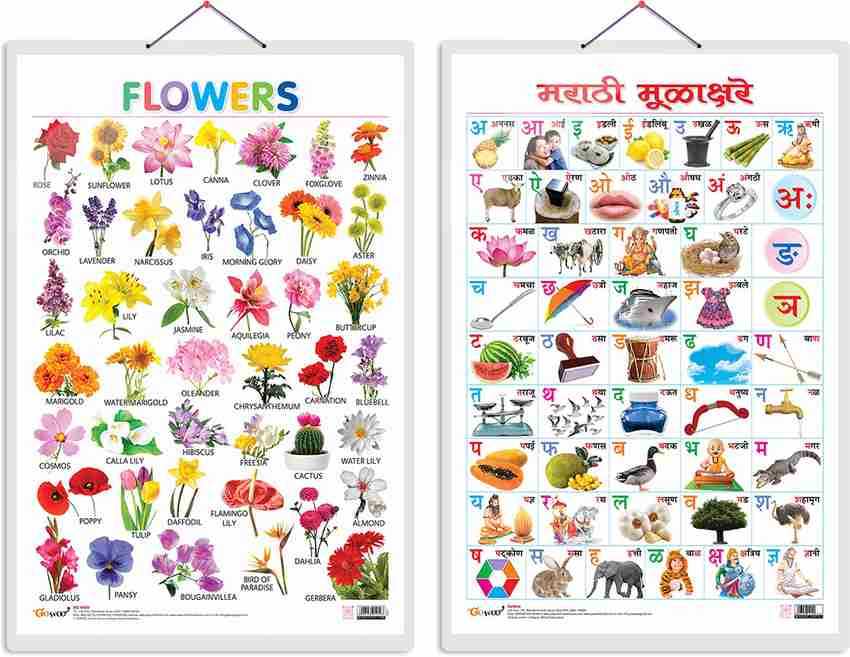 Flowers Name In Marathi With Pictures Best Flower Site