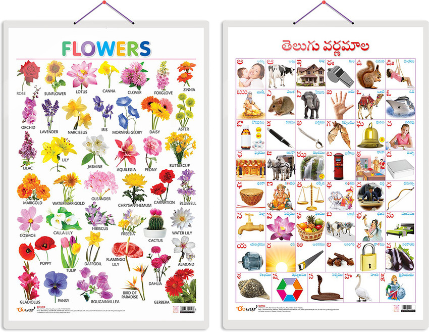 Flowers Names In English And Telugu With Pictures Best Flower Site