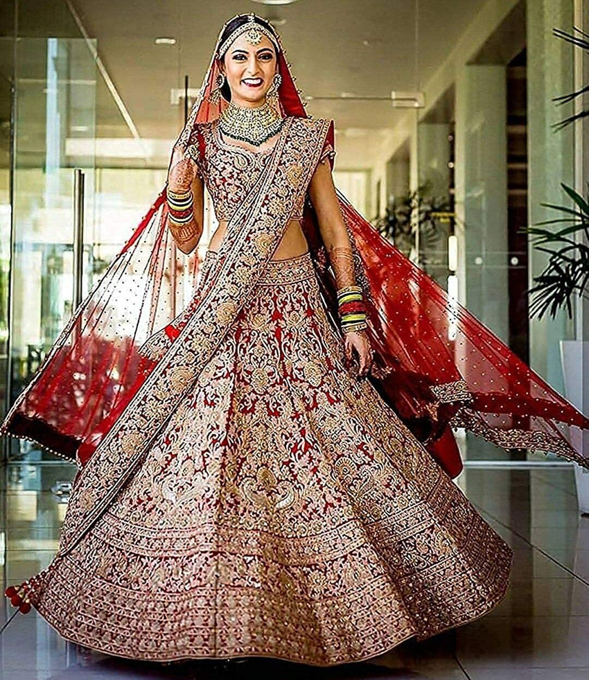 Beige and Red Georgette Lehenga Saree