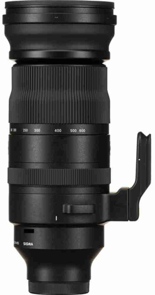 SIGMA 150-600mm F5-6.3 DG DN OS | Sports | Sigma 150-600mm f/5 -