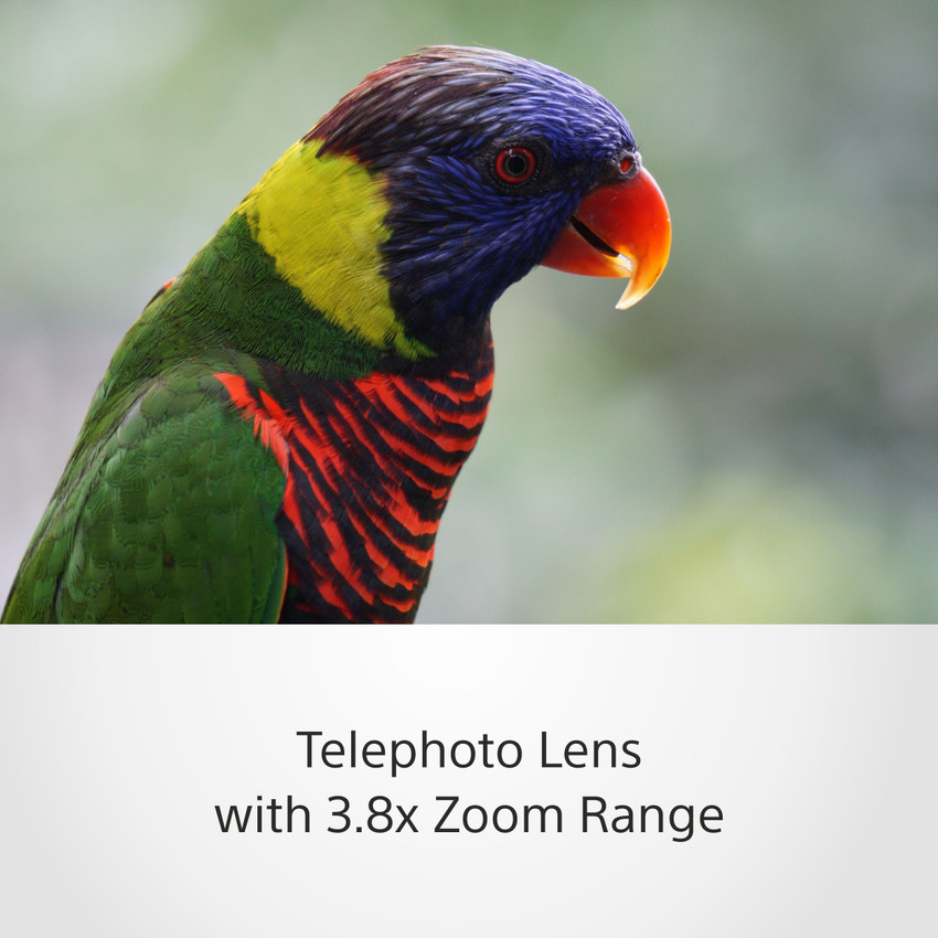 SONY SEL55210/BQ Telephoto Zoom Lens - SONY : Flipkart.com 