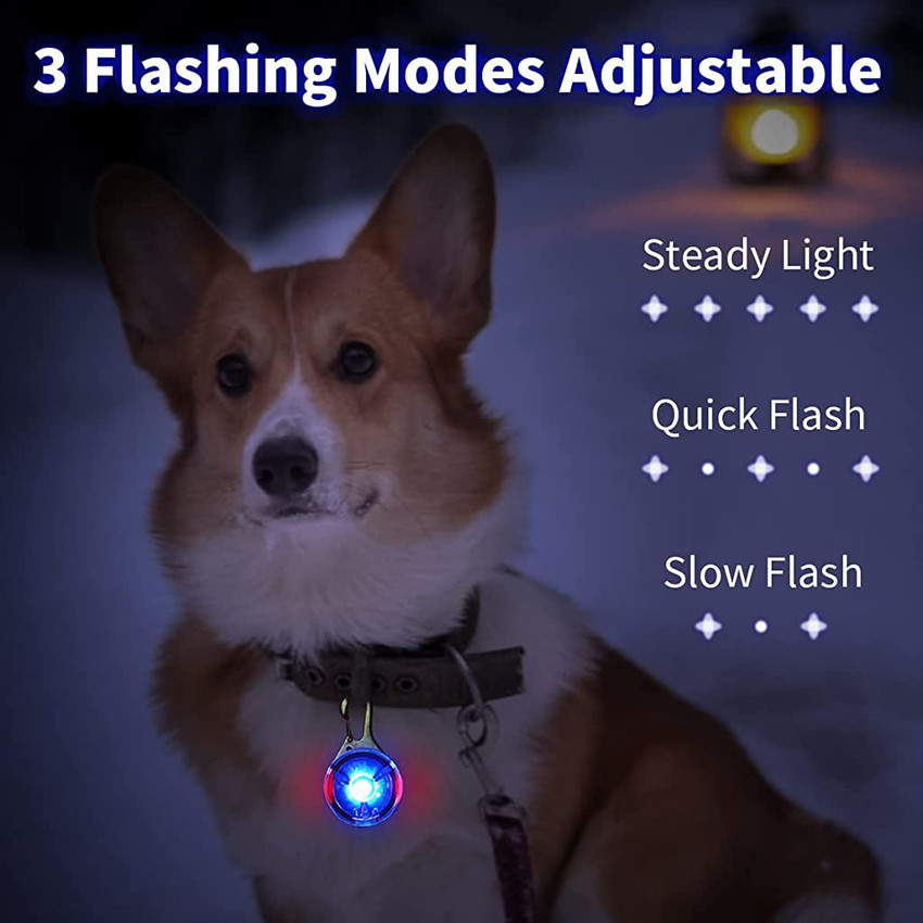 Qpets Dogs Collar Lights for Night Walking Blue Light Rechargable LED Collar Lights LED Front Light Buy Qpets Dogs Collar Lights for Night Walking Blue Light Rechargable LED Collar Lights LED