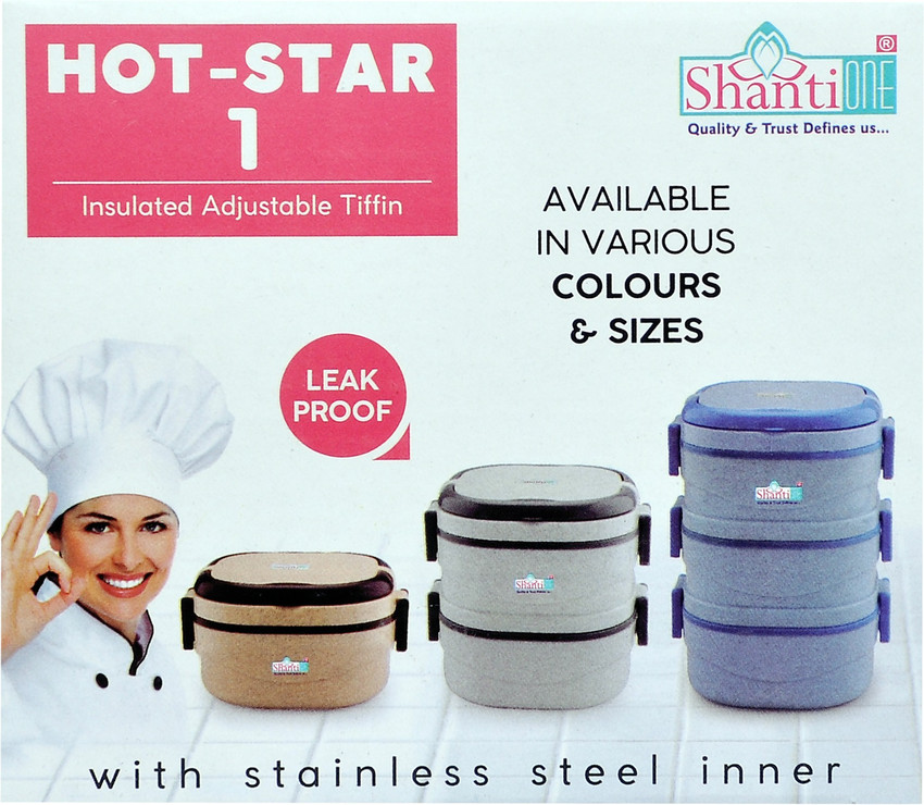 Insulated tiffin box sales