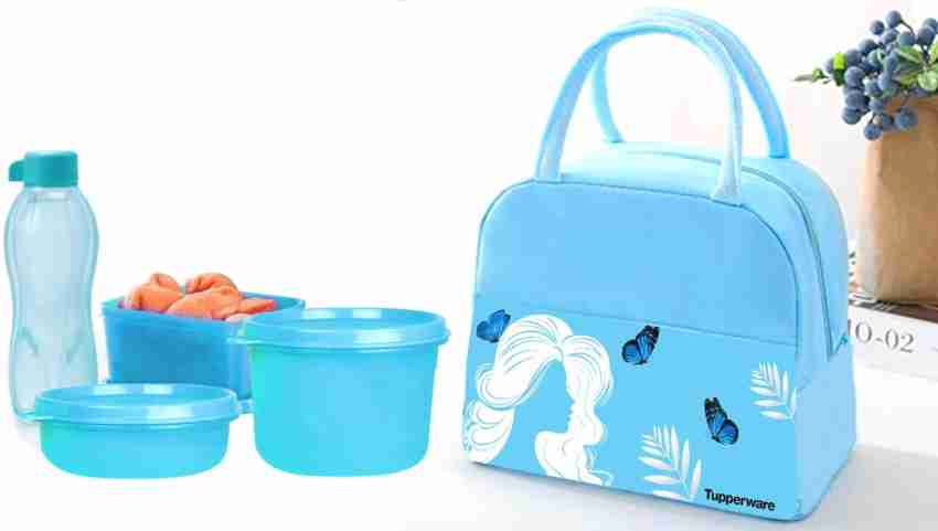 Ridhi Sidhi Tupperware Divided Duo 1 Containers Lunch Box 