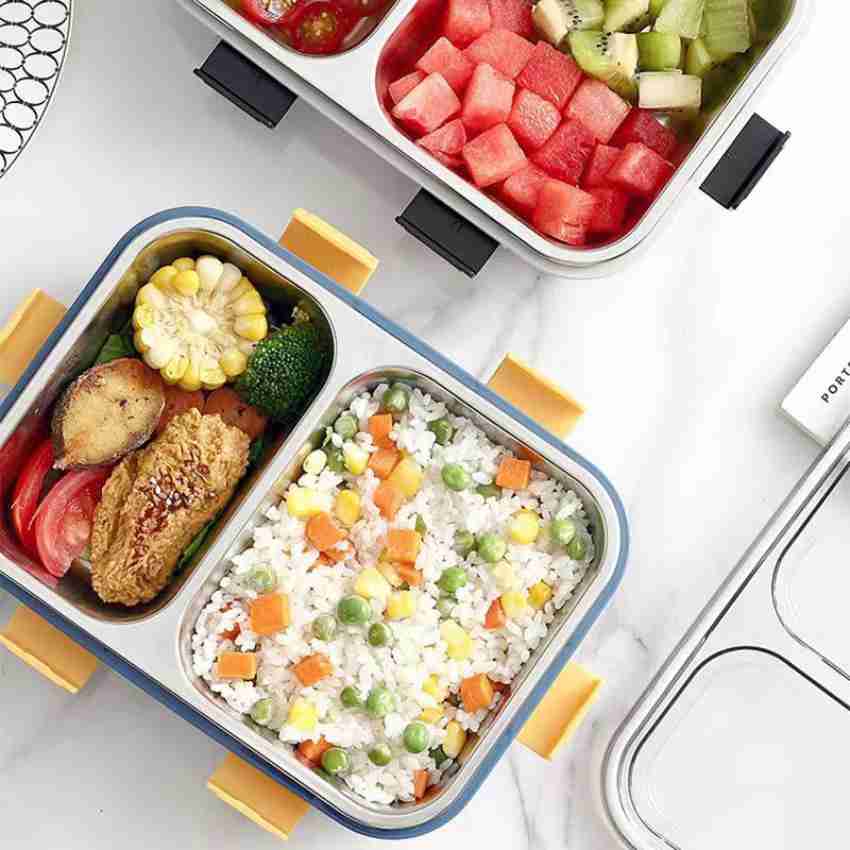 VDNSI Leak Proof 2 Compartment Stainless Steel Lunch Boxes  Tiffin Box for Adult Kids 2 Containers Lunch Box 