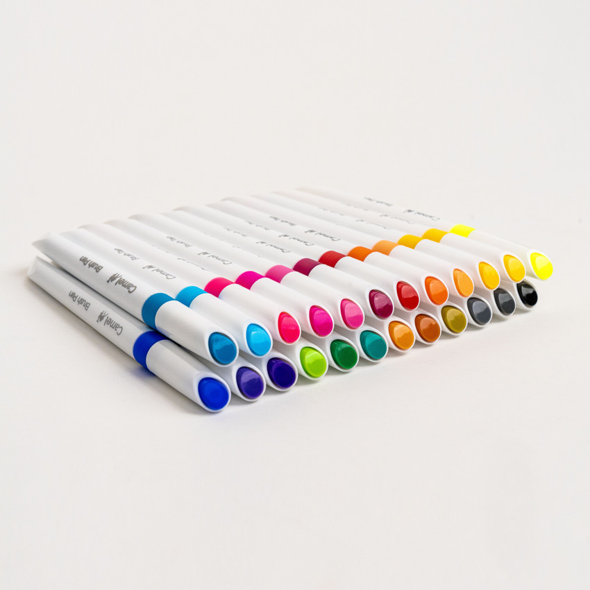 Camlin clearance brush pen