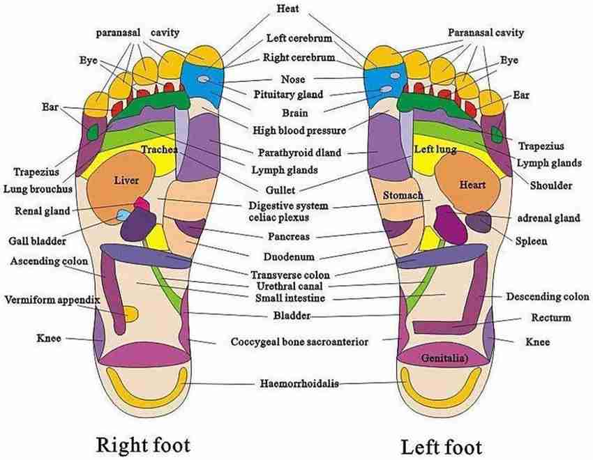 Acupressure yoga slippers benefits store