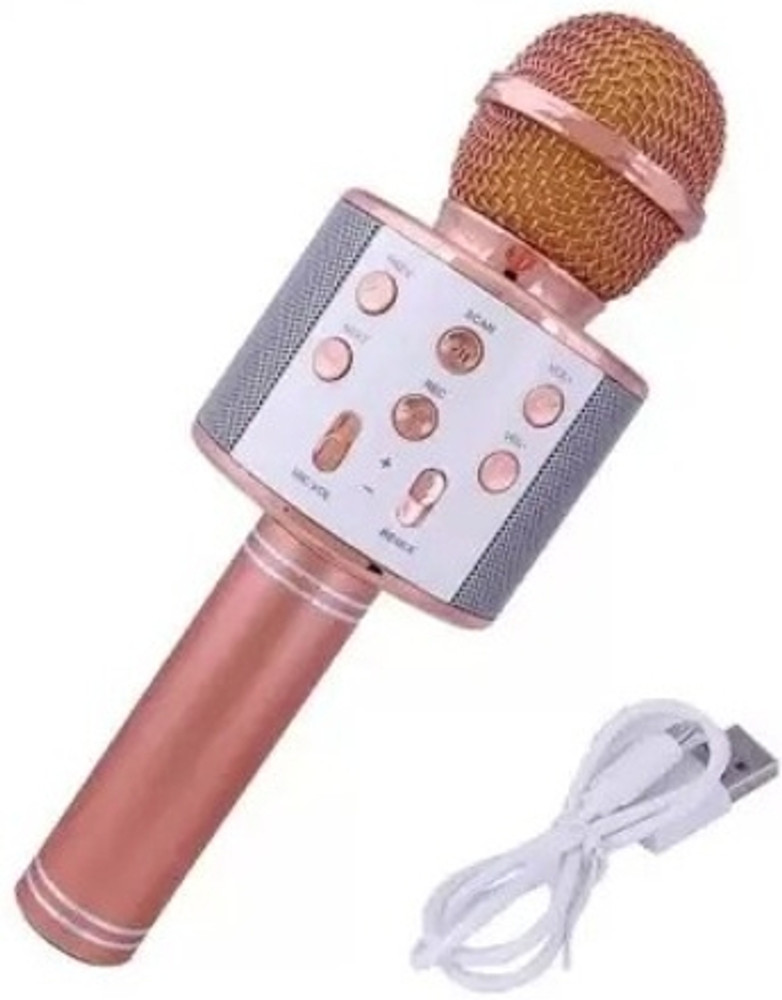 Karaoke mic 2025 flipkart