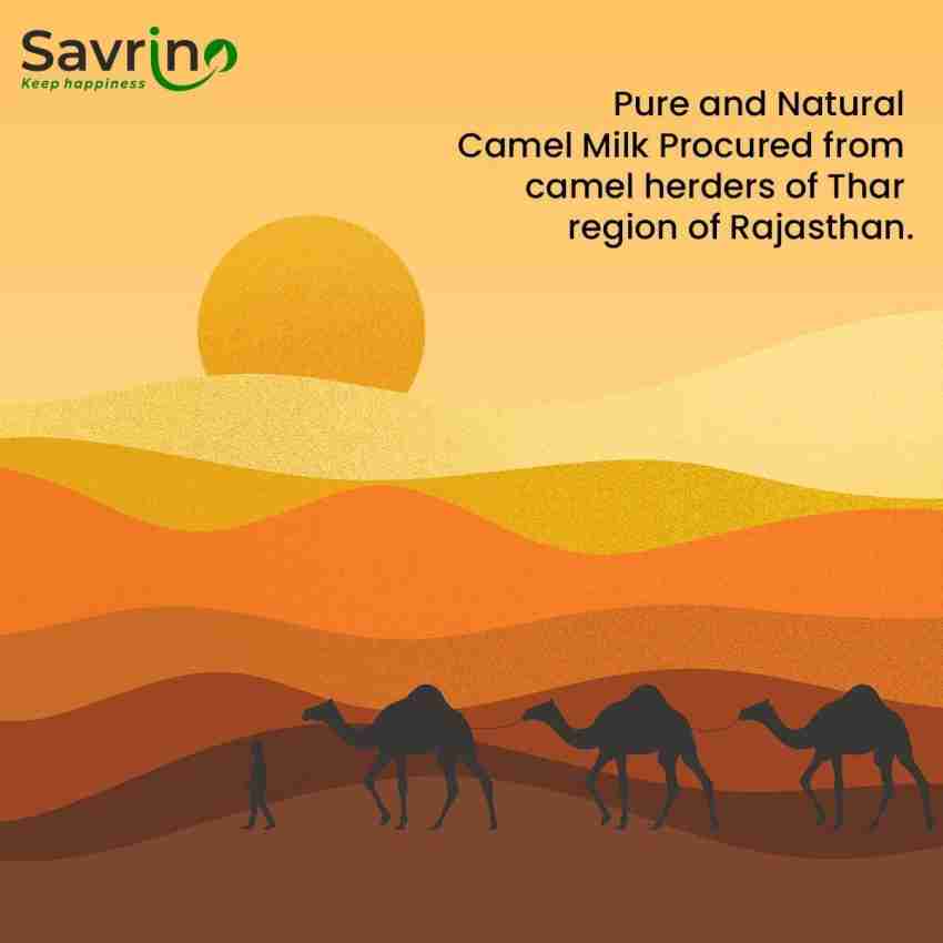 Dry Camel Milk Powder, 100% Pure, All-Natural