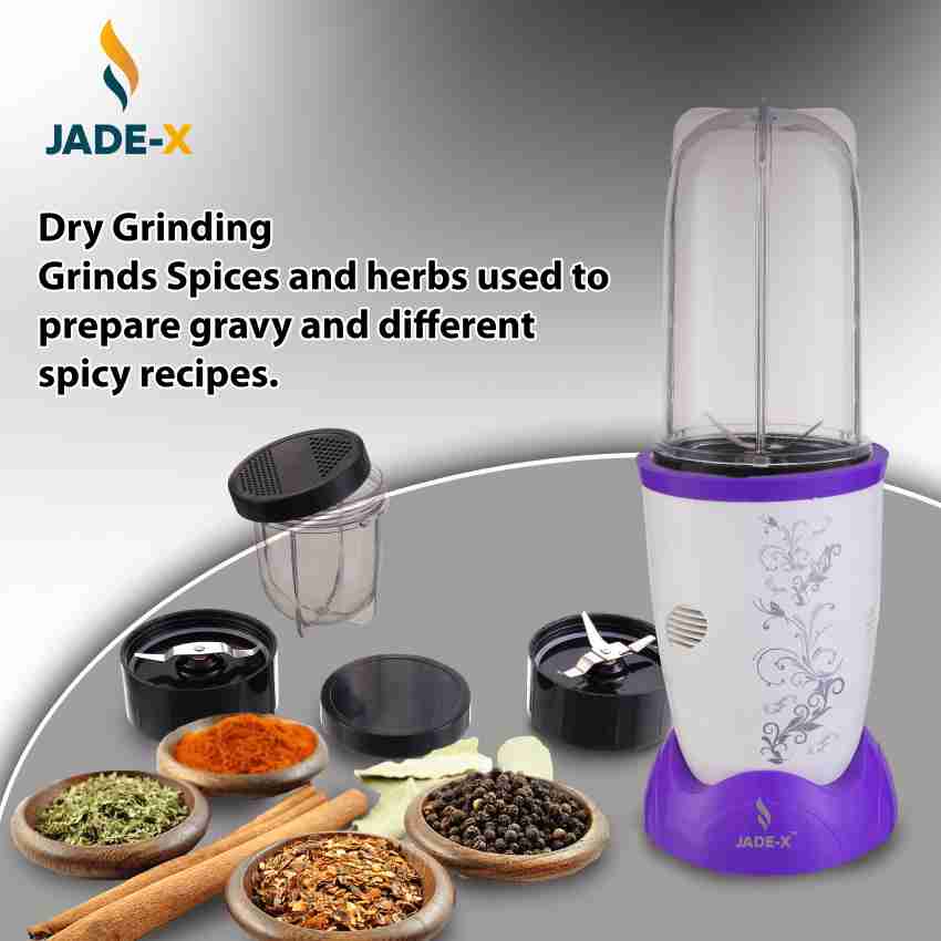 Small mixer shop grinder flipkart