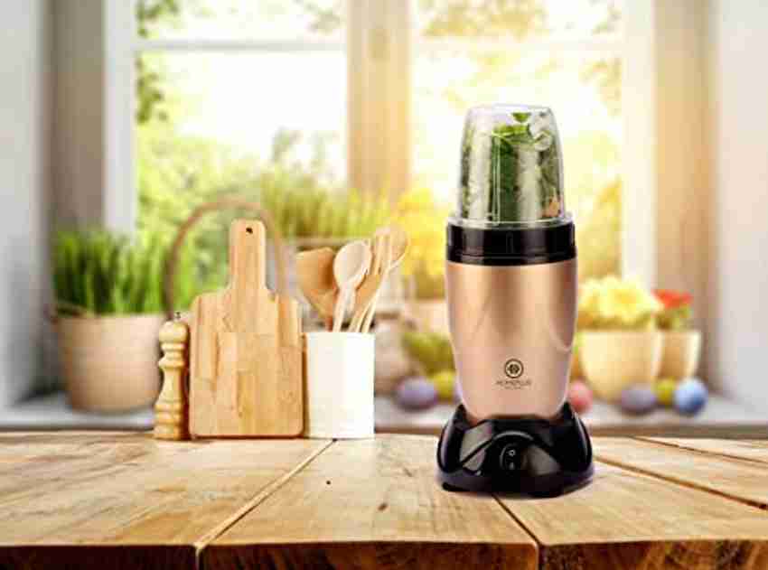 Smoothie sales maker flipkart