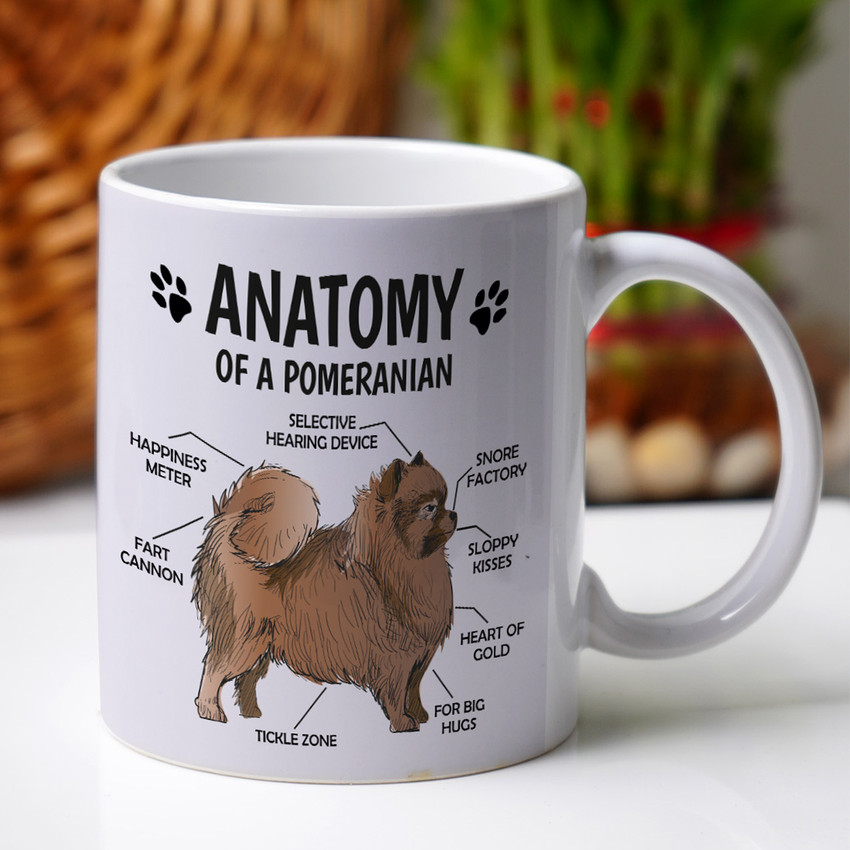 Crazy Corner Anatomy Of A Pomeranian Printed Gift for Dog Lover