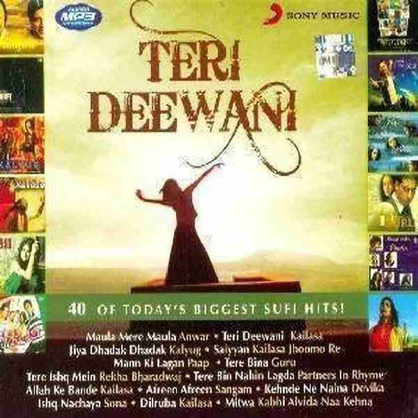 Teri Deewani MP3 Standard Edition Price in India Buy Teri