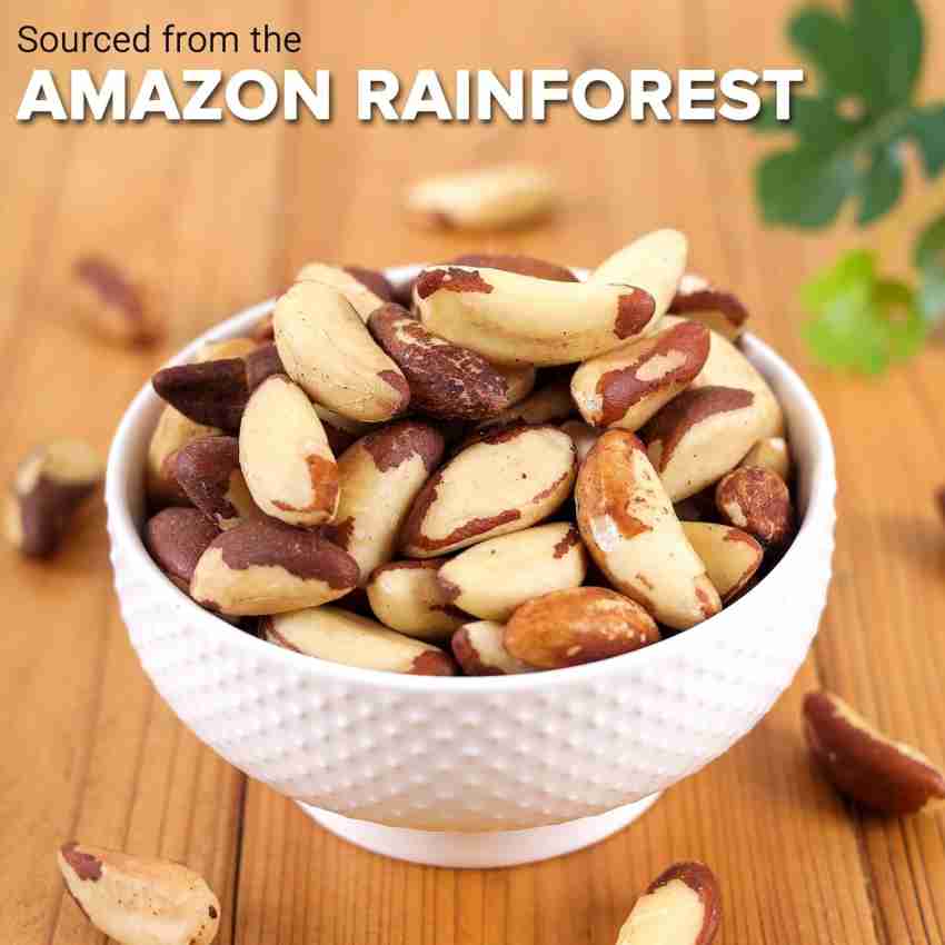 Namo Organics - Jumbo Brazil Nuts - 500 Gm - Selenium Rich | Raw | Unsalted  | Organic | Vegan | brazilian Nuts