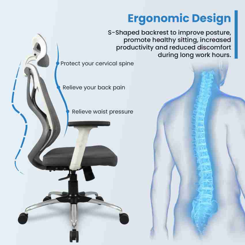 VERGO Transform High Back Ergonomic Home Office Chair, Headrest,2D Armrest, Lumbar, Mesh Office Executive Chair Price in India - Buy VERGO Transform  High Back Ergonomic Home Office Chair, Headrest,2D Armrest,Lumbar