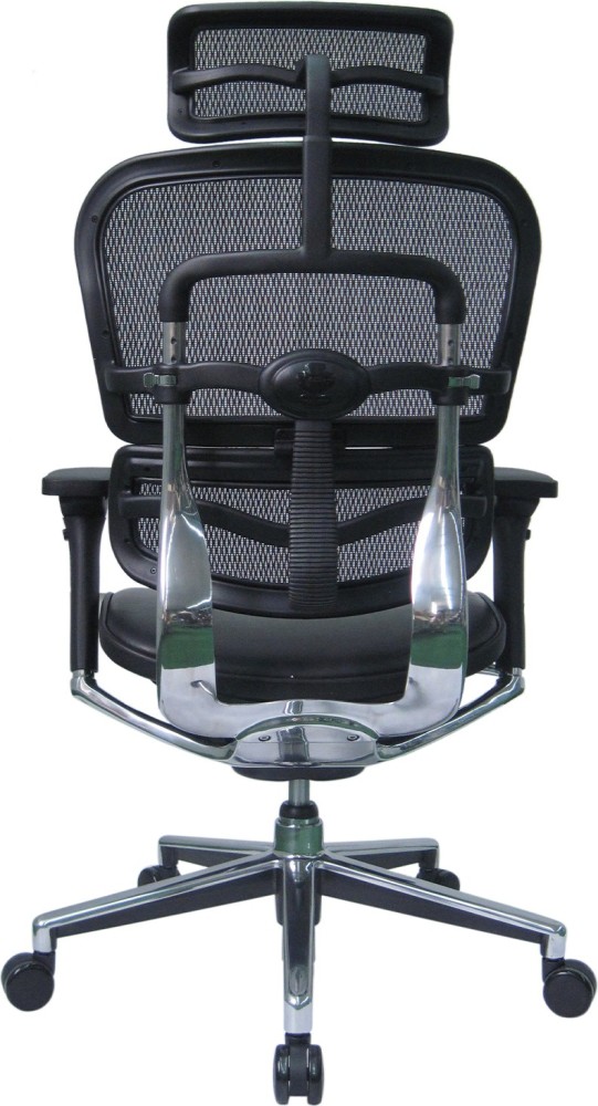 Ergohuman chair online