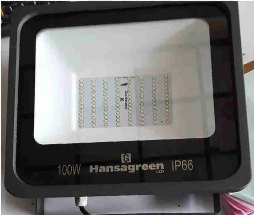 Hansa Green LED Flood Light PACIFIC NIO ECO EY 100 Watt Flood