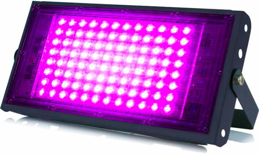 Pink led flood sale lights