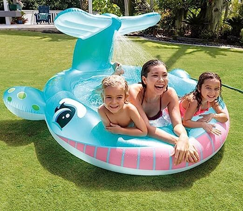 Intex shark pool float 2025