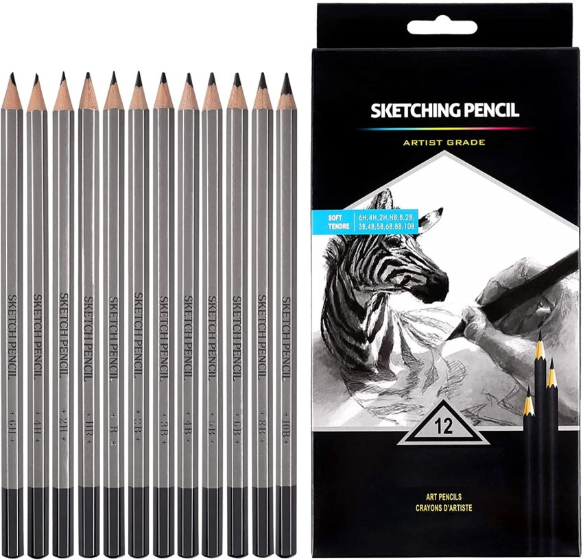 Levin Art Graphite Professional Drawing Sketching Pencil  Set- Artist Grade Degree Pencils 10B, 8B, 6B, 5B, 4B, 3B, 2B, B, HB, 2H, 4H  and 6H (Pack of 12), Art Blending