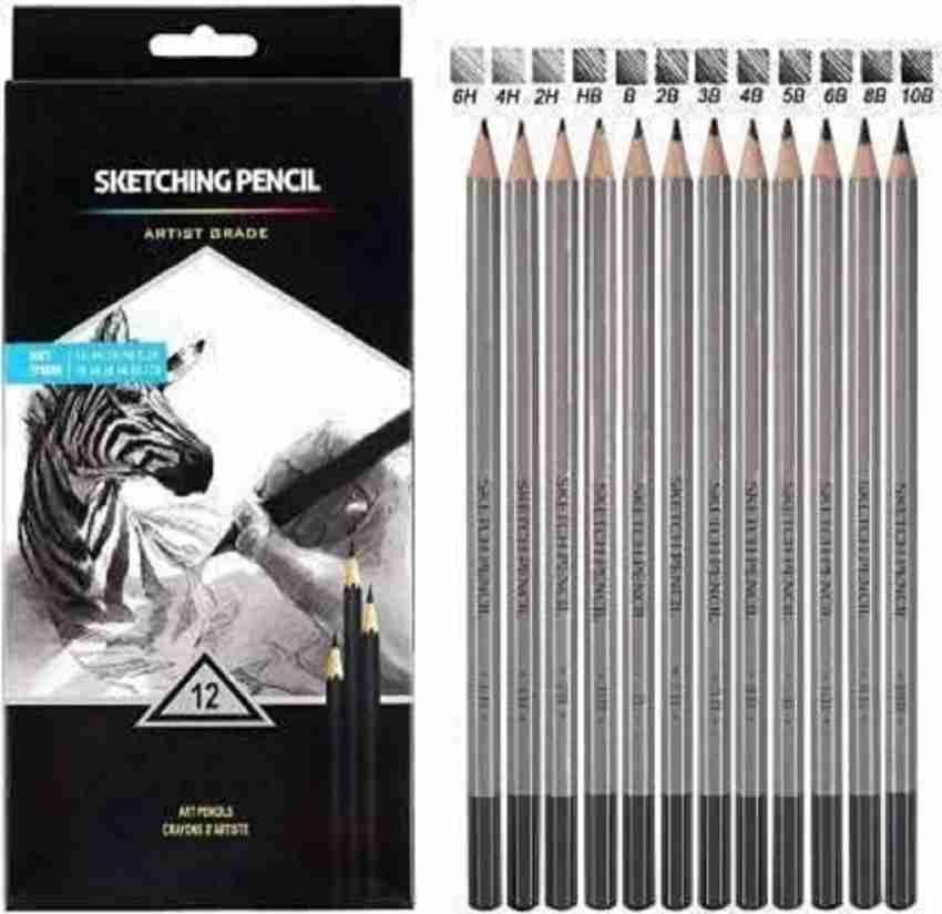 12pcs Professional Sketch Pencils Set, Cartoon Stationery, 2h-8b