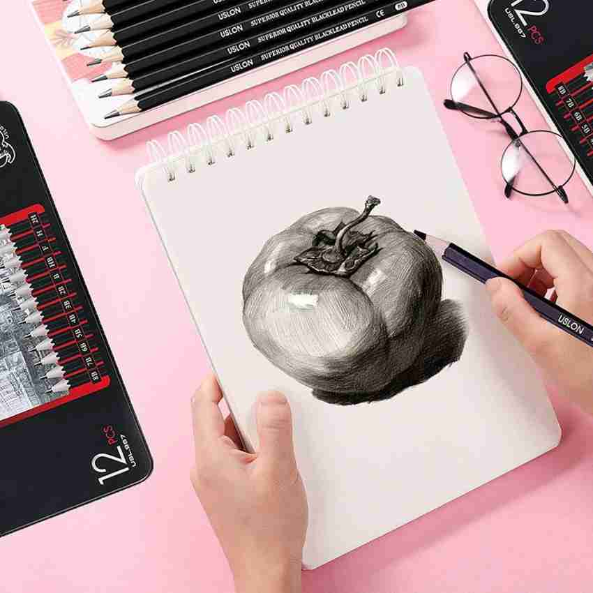 https://rukminim2.flixcart.com/image/850/1000/xif0q/pencil/v/u/m/art-12pc-professional-sketching-drawing-pencil-set-graphite-pre-original-imagm3gaqavpjgyf.jpeg?q=20