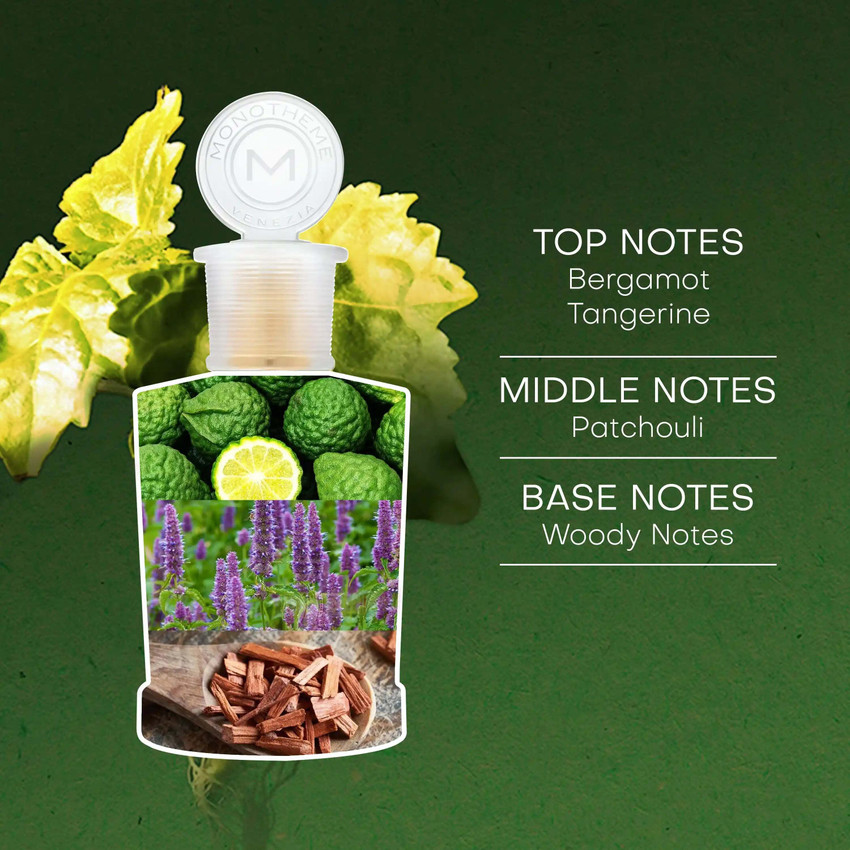 Monotheme patchouli leaves perfume clearance