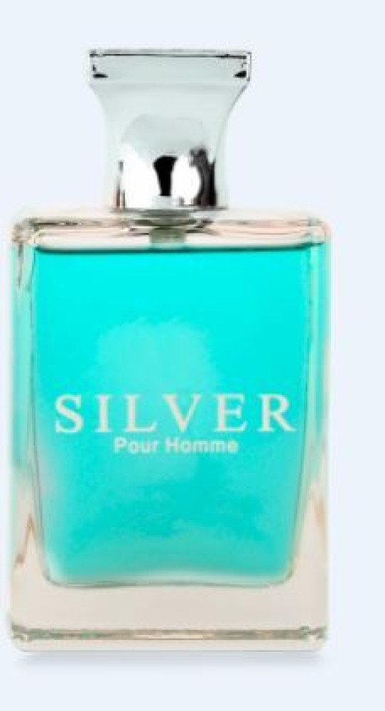 Buy BN PARFUMS Silver Pour Homme AQD Eau de Parfum 100 ml Online