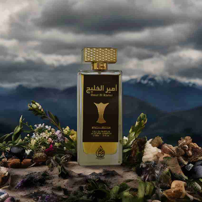 Parfum ameer al hot sale oud special edition