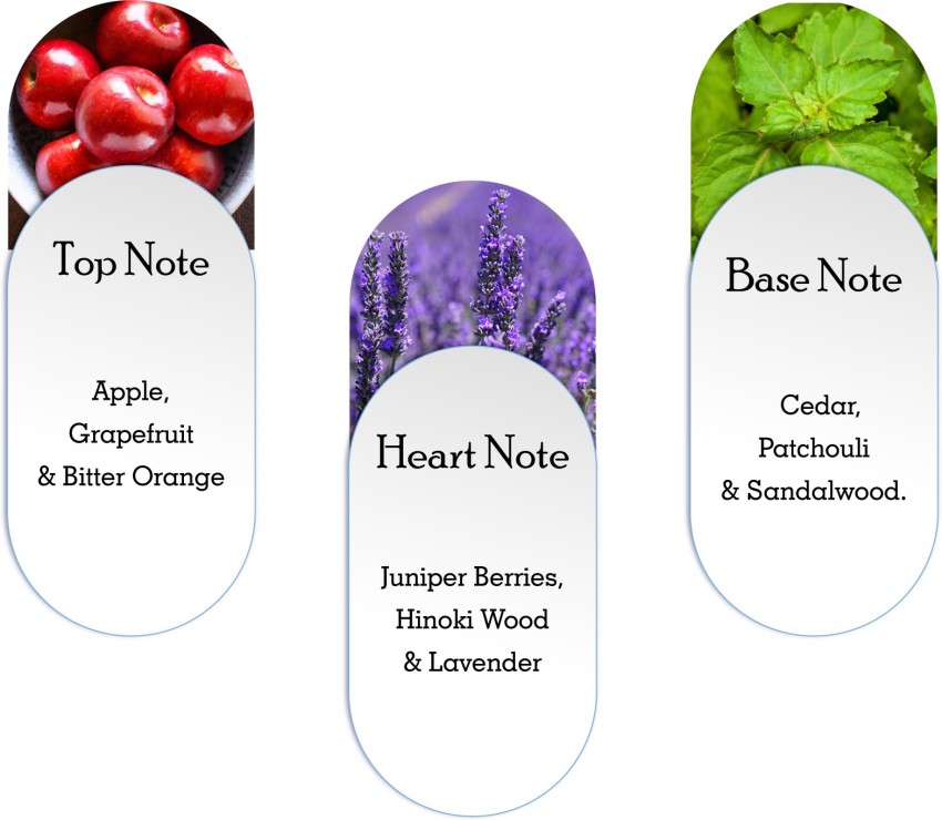 Essential oil base online middle and top notes