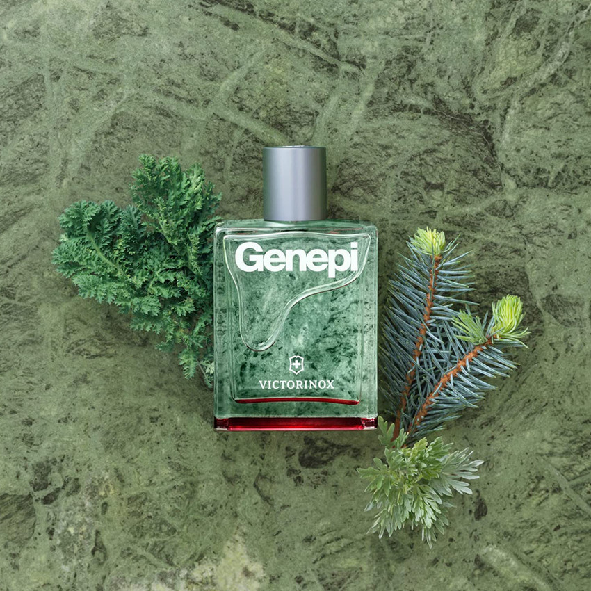 Buy Victorinox Genepi Eau de Toilette 100 ml Online In India