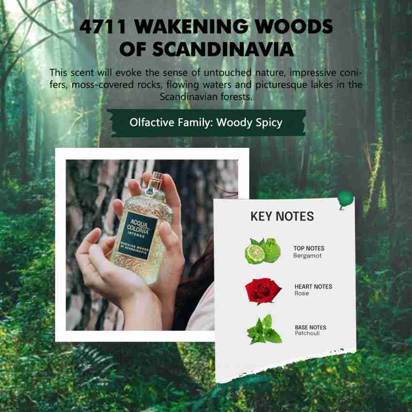 Acqua colonia wakening woods hot sale