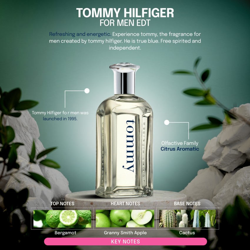 Tommy hilfiger 200ml eau online de toilette mens